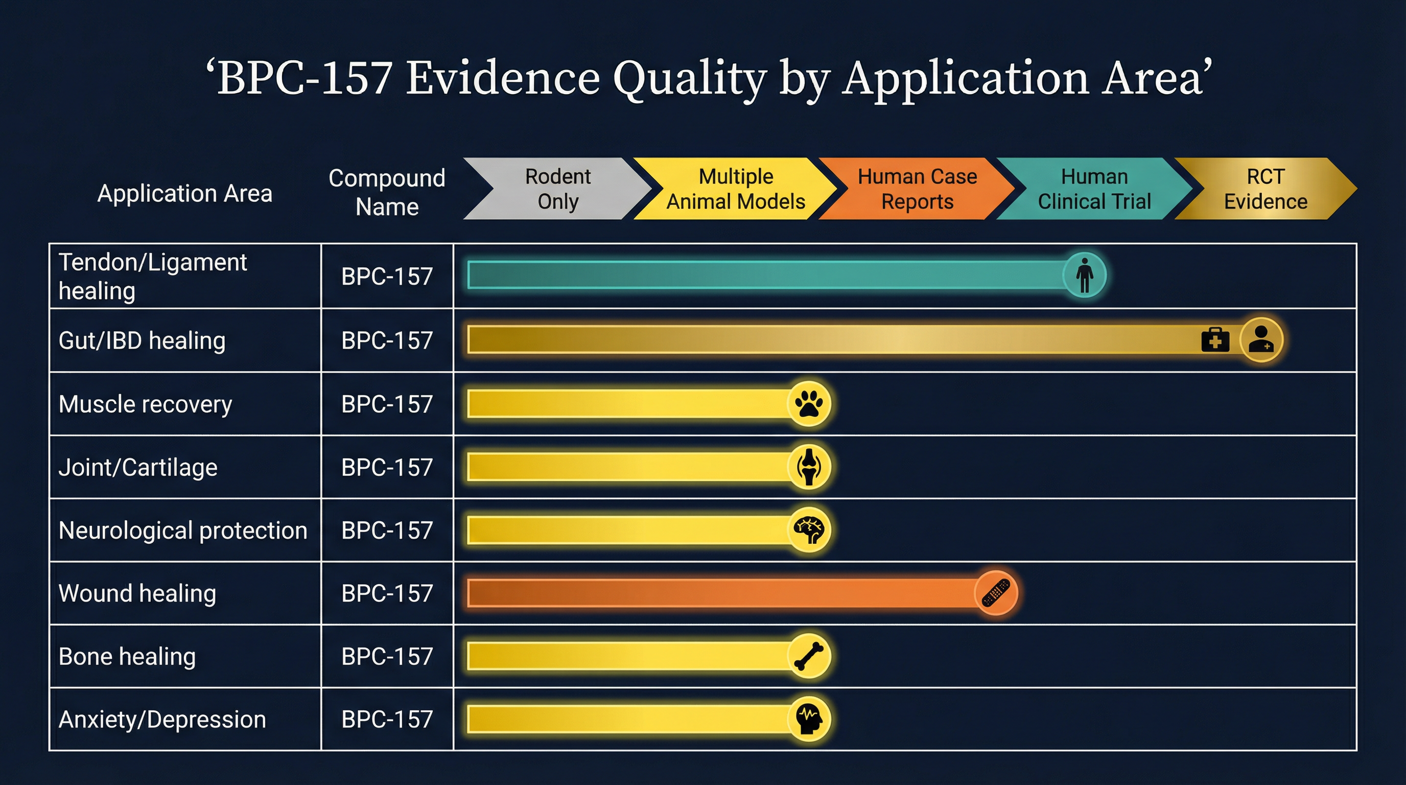 BPC-157 Evidence Quality Chart by Application Area — Tendon, Gut, Brain, Bone Research Ratings
