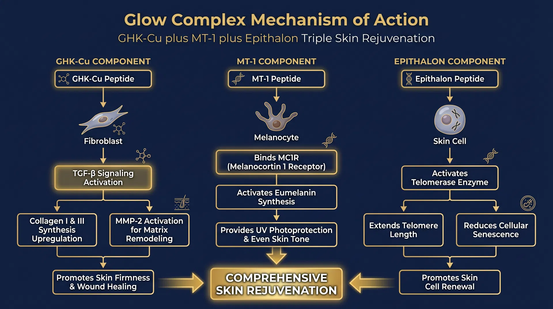 Glow Complex mechanism of action diagram — step-by-step signaling pathway infographic