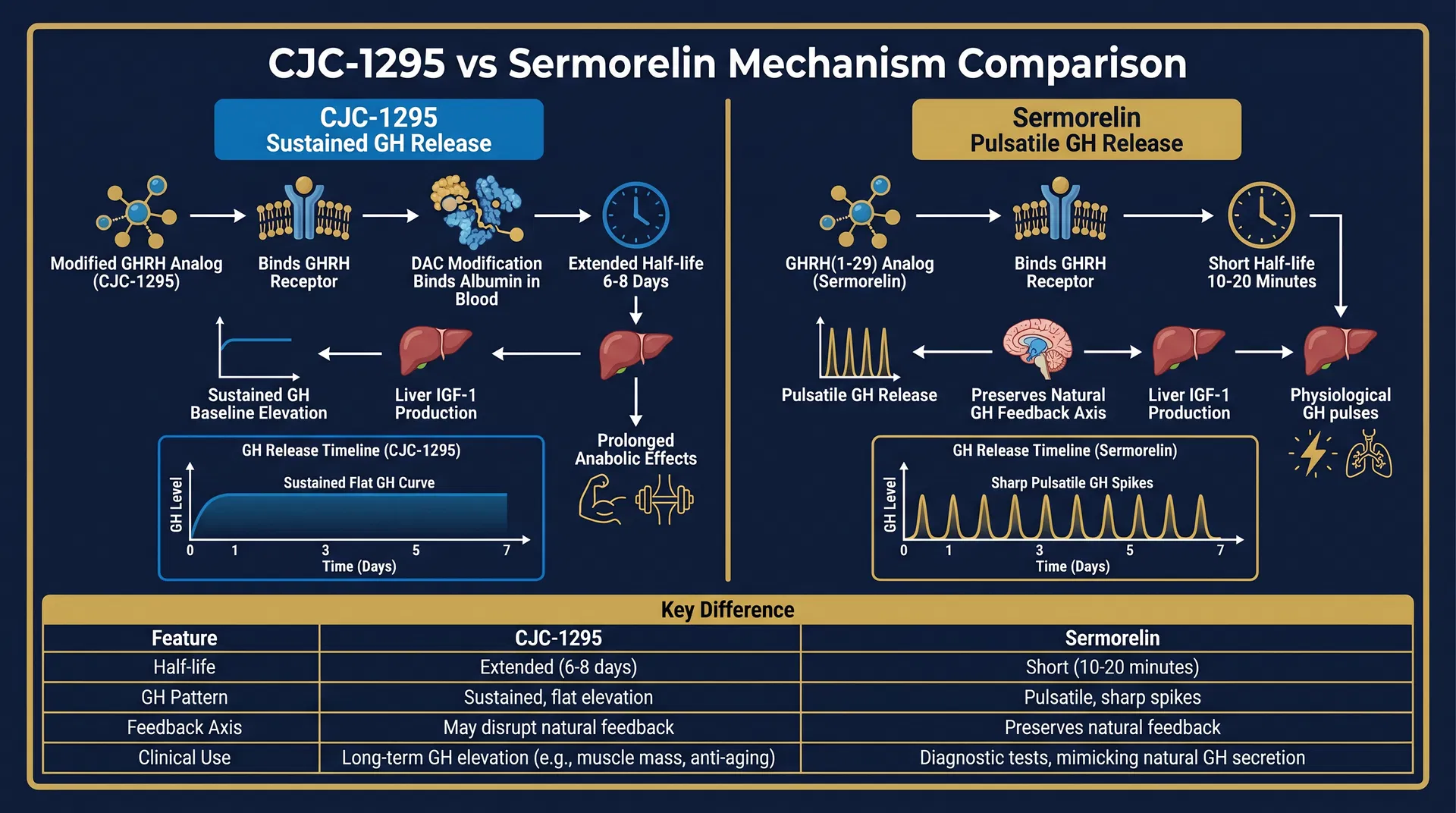 CJC-1295 vs Sermorelin mechanism comparison diagram showing sustained GH elevation vs pulsatile GH release with GH release timeline graphs