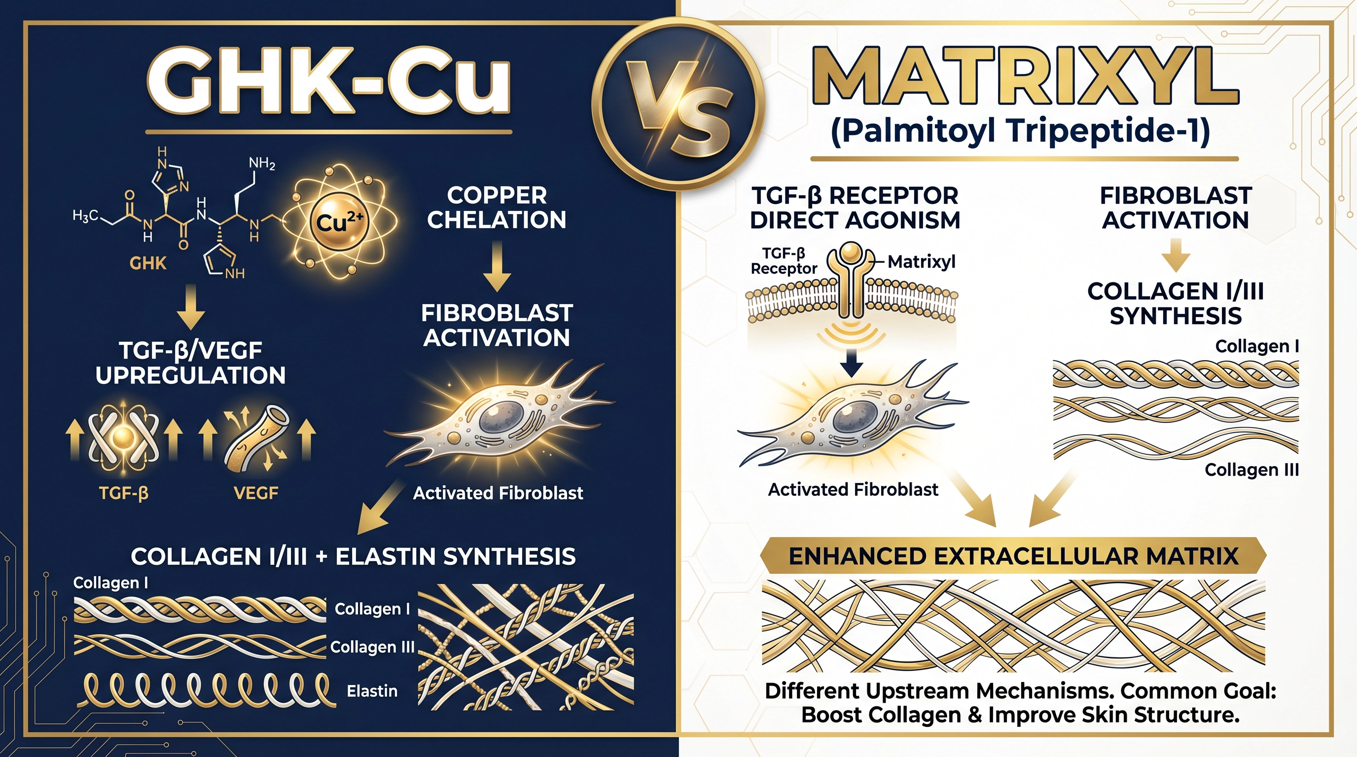 GHK-Cu vs Matrixyl mechanism comparison showing copper chelation TGF-β pathway vs direct TGF-β receptor agonism for collagen synthesis