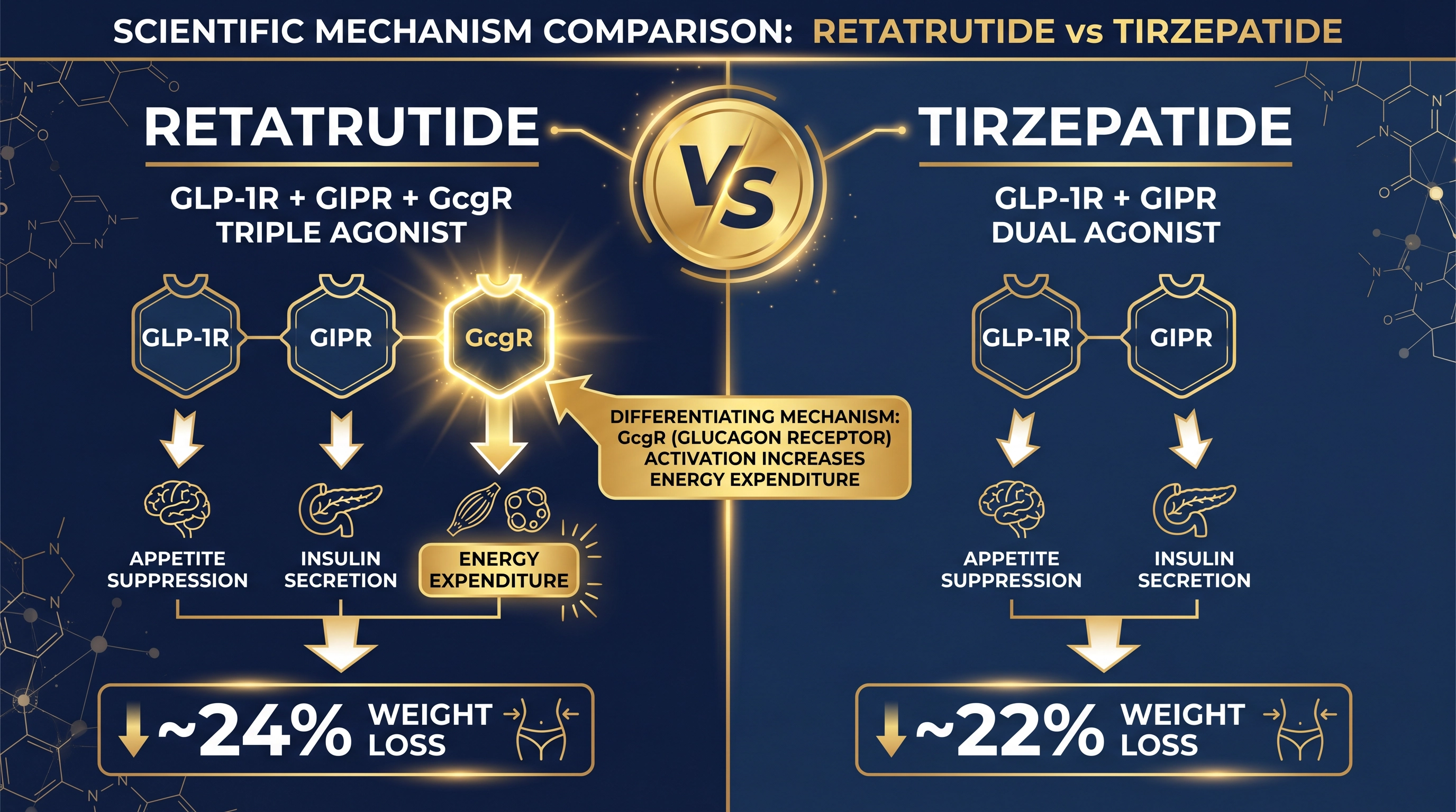Retatrutide vs Tirzepatide mechanism comparison showing GLP-1R+GIPR+GcgR triple agonist vs GLP-1R+GIPR dual agonist