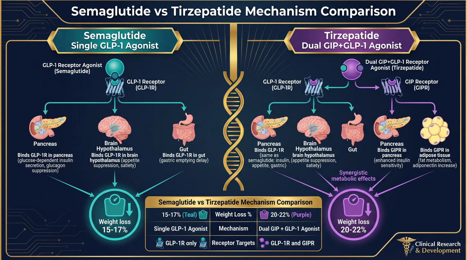 Semaglutide vs Tirzepatide mechanism comparison diagram showing single GLP-1 receptor activation vs dual GIP+GLP-1 receptor activation with weight loss outcomes